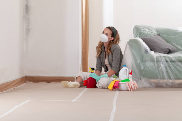 Reliable Black Mold Removal contractor in Lock Haven, PA by WQB Mold Removal
